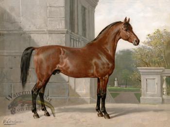 Cleveland Horse by Eerelman